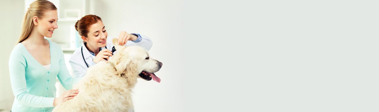 Shop for Veterinary Medicines